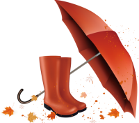 an autumn umbrella and boot